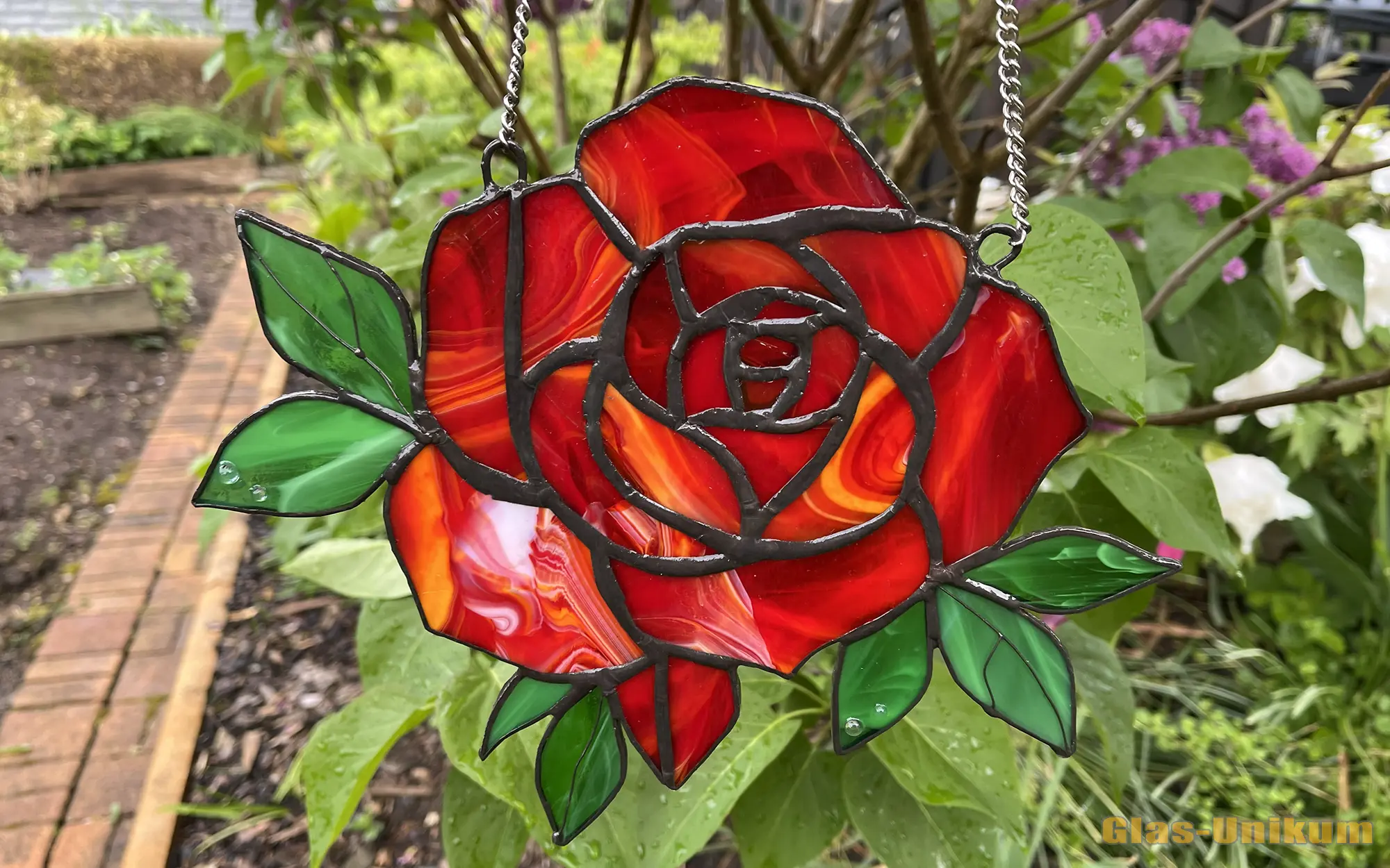 4 043 Rose   Fenstrerbild