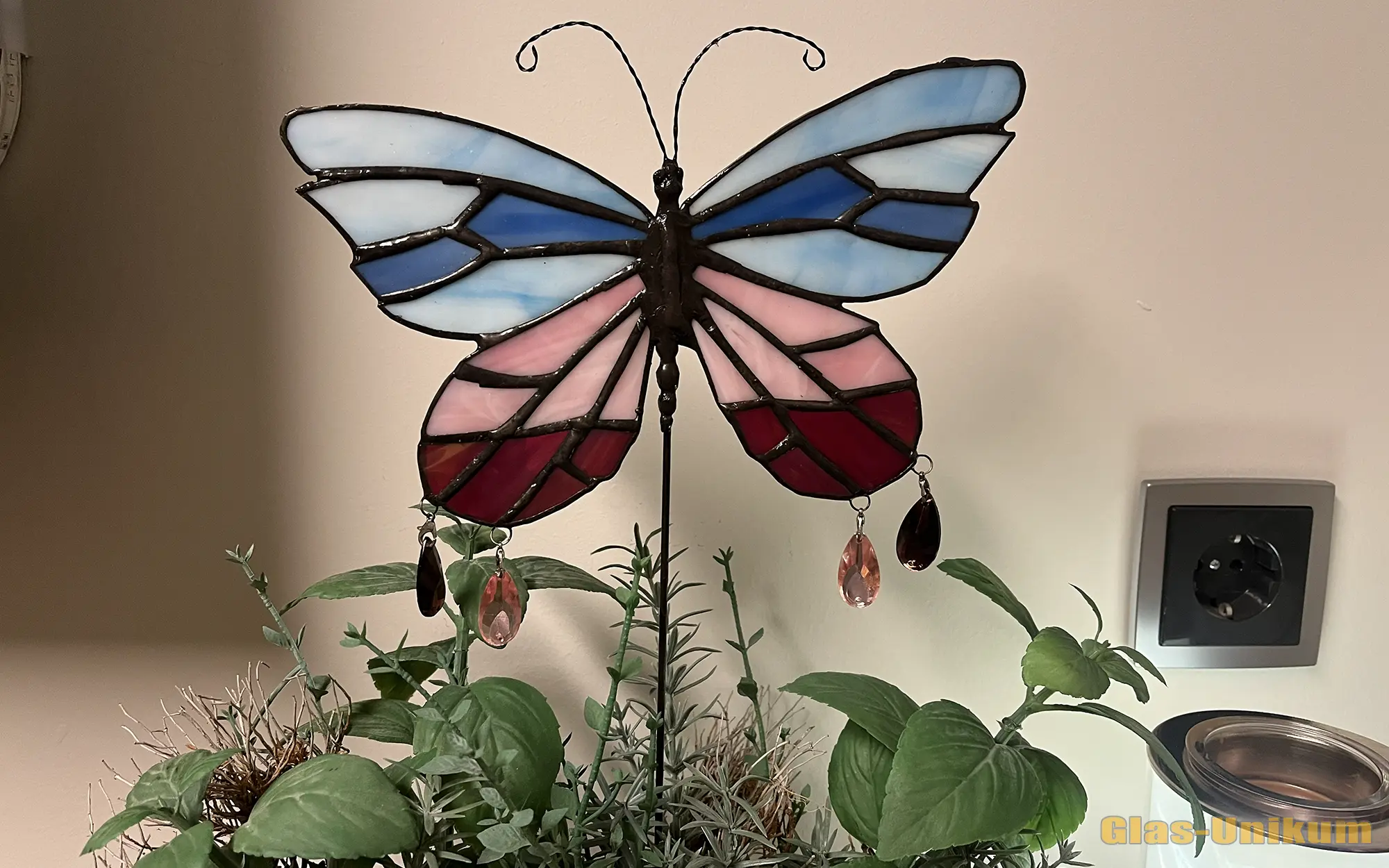 7 012 Schmetterling Mariposa