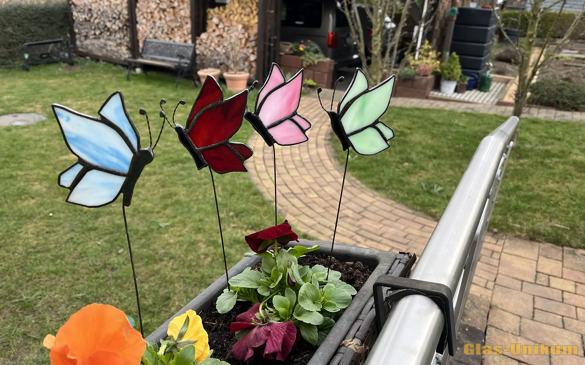 7 014 Schmetterling Stecker Aurelia